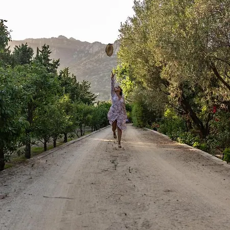 فندق S'arenada - Adults Only