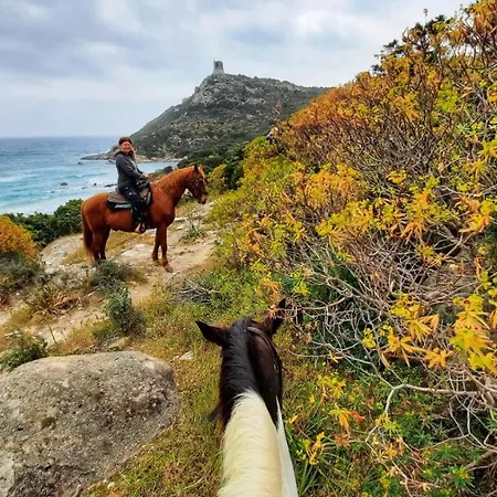 S'arenada - Adults Only 3* فيلاّسيمِيوس