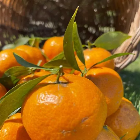 S'arenada - Adults Only فندق