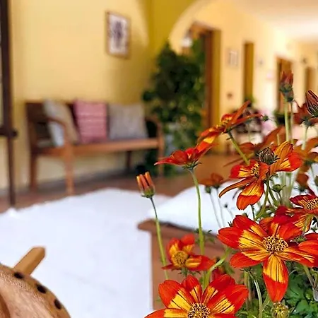 Hotel S'arenada - Adults Only Villasimius